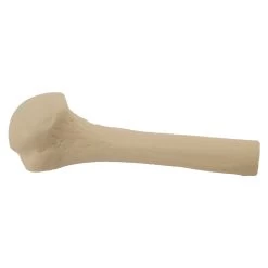 EZ-IO Training Bone (Adult Humerus - Without Skin Patch)